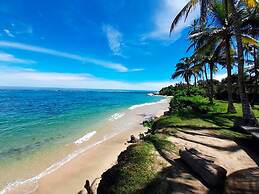 Magic Greeen Tayrona