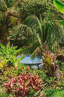 Magic Greeen Tayrona