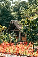 Magic Greeen Tayrona