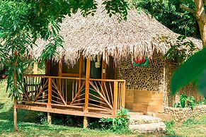 Magic Greeen Tayrona