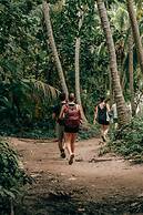 Magic Greeen Tayrona