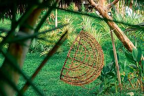Magic Greeen Tayrona