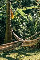 Magic Greeen Tayrona