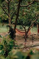 Magic Greeen Tayrona