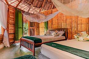 Magic Greeen Tayrona