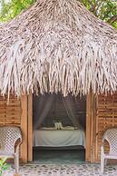 Magic Greeen Tayrona