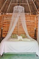 Magic Greeen Tayrona