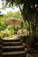 Magic Greeen Tayrona