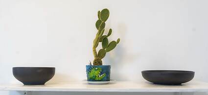 My place in paradise