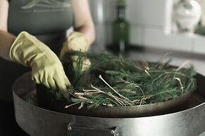 Hotel Fazenda Morros Verdes Ecolodge