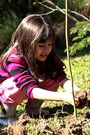 Hotel Fazenda Morros Verdes Ecolodge