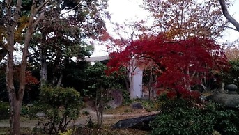 HOTEL DO-YA BEPPU Hanare