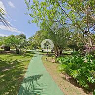 Paraíso na Reserva Imbassaí