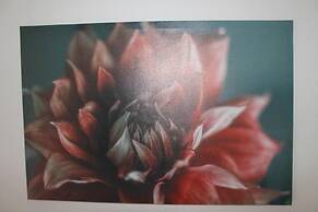 Mount Pleasant - Luxurious 4-bed Villa