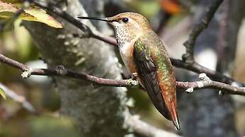 Crows Nest by Avantstay Accessible Home w/ Views