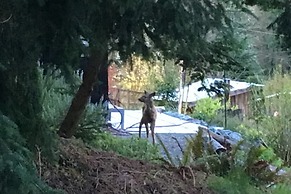 Crows Nest by Avantstay Accessible Home w/ Views