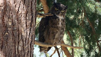 Crows Nest by Avantstay Accessible Home w/ Views