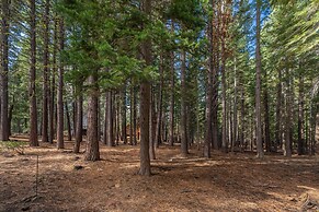 Tahoe Donner Cabin in the Woods by Sierra Getaways