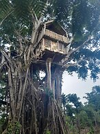 Glowing Mountain view tree house