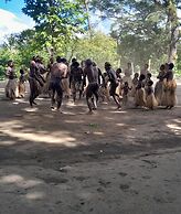 Glowing Mountain view tree house