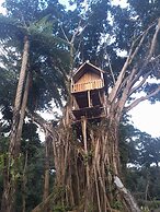 Glowing Mountain view tree house