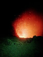 Glowing Mountain view tree house