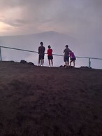 Glowing Mountain view tree house