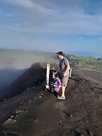 Glowing Mountain view tree house