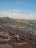 Glowing Mountain view tree house