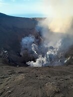 Glowing Mountain view tree house