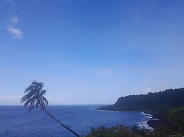 Glowing Mountain view tree house