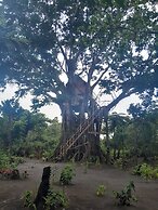 Glowing Mountain view tree house