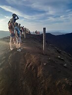 Glowing Mountain view tree house