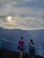 Glowing Mountain view tree house