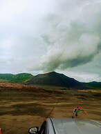 Glowing Mountain view tree house