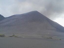 Glowing Mountain view tree house