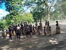 Glowing Mountain view tree house