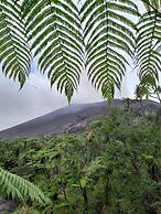 Glowing Mountain view tree house