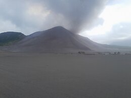 Glowing Mountain view tree house