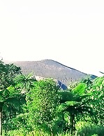 Glowing Mountain view tree house