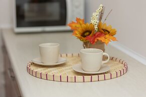 Central Warsaw Apartment by Renters