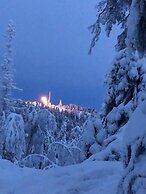 Kultaranta Kultakimpaleet