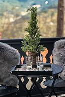 Dandy Villas Metsovo