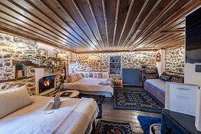 Dandy Villas Metsovo