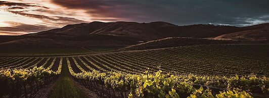 Apollonio Upper View Suites