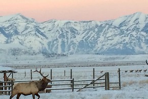 NEW! Elk Refuge Safari Chalet with Teton Views!