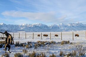 NEW! Elk Refuge Safari Chalet with Teton Views!