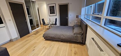 Beautiful 1-bed Studio in London Tottenham