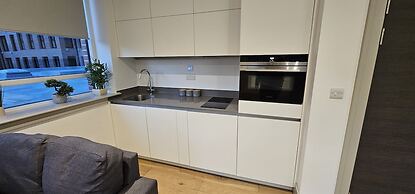 Beautiful 1-bed Studio in London Tottenham
