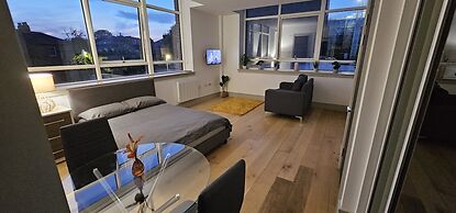 Beautiful 1-bed Studio in London Tottenham